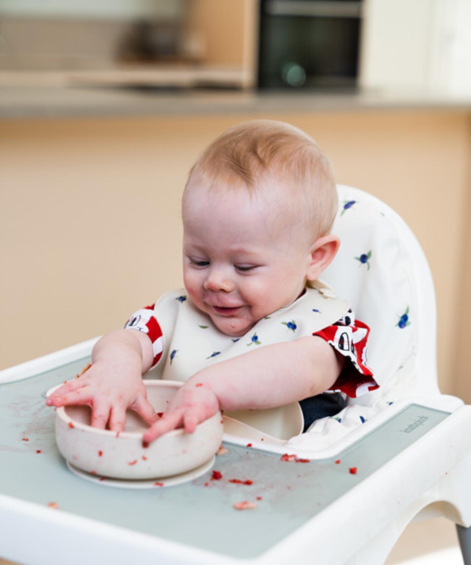 Stolpute til IKEA Antilop  - Blueberry forest Knatteplock 